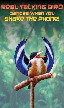 Real Talking Bird screenshot 3