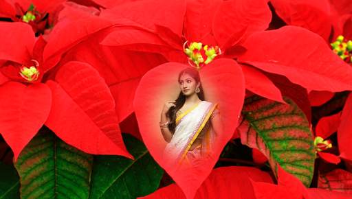 Leaf Photo Frames screenshot 7