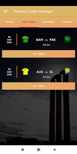 Fantasy Cricket Manager screenshot 2