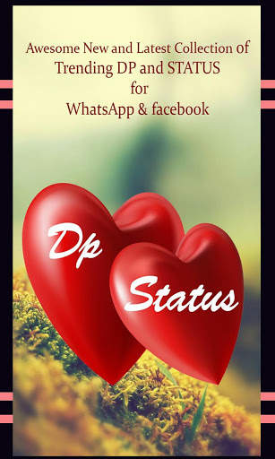 DP STATUS 2020 screenshot 1