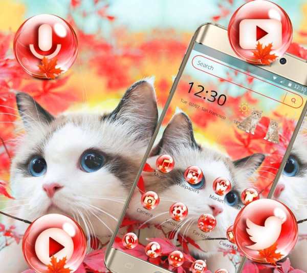 Pink Cute Kitty Theme screenshot 3