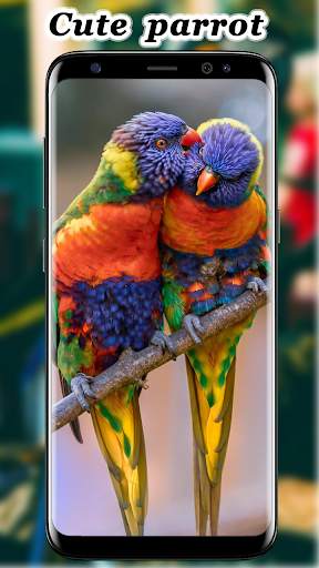Cute Parrot Wallpaper screenshot 3