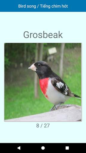 Bird Song / Tiếng Chim screenshot 7