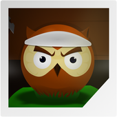 Ninja Owl icon