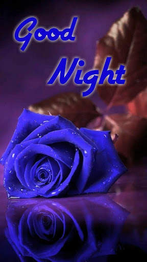 Good Night Gif screenshot 3