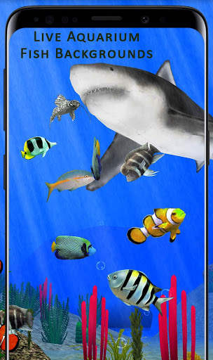 Fish Aquarium Backgrounds HD Live Wallpapers Free screenshot 2