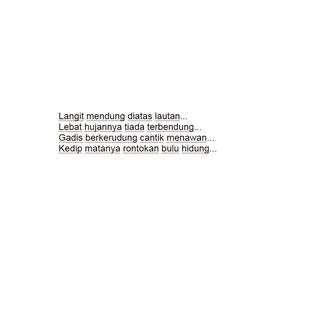 PANTUN LUCU screenshot 3
