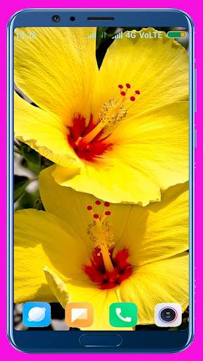 Hibiscus Flower Wallpaper Best 4K screenshot 8