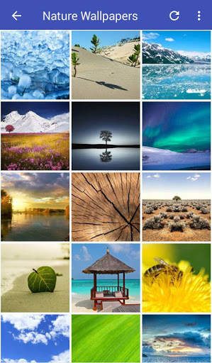 Nature Wallpapers HD screenshot 5