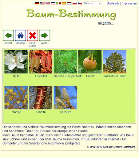 Baum-Bestimmung screenshot 2