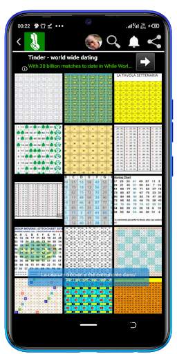 Nelm lotto screenshot 5