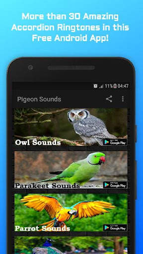 Eagle Sounds screenshot 3