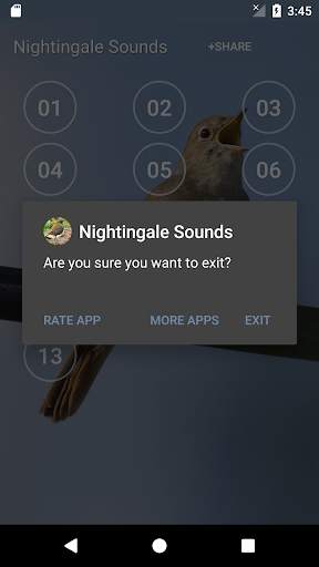 Nightingale Bird Sound Ringtones screenshot 5