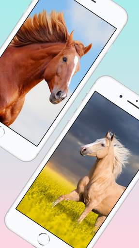 Horse Wallpaper 4K screenshot 3