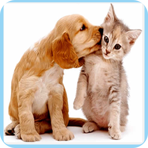 Animal Sounds icon