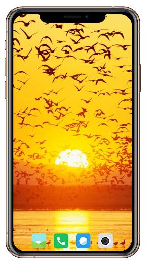 Nice Sunrise  Wallpaper screenshot 8