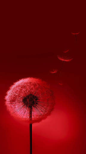 Cool wallpaper screenshot 4