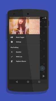 Pulse Music Player screenshot 6