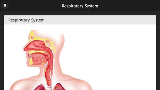 Human Body Free Offline screenshot 7