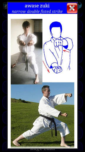 Karate WKF screenshot 4