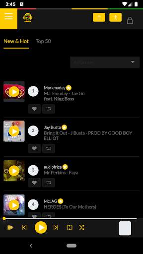 Audiofrica Artist screenshot 7