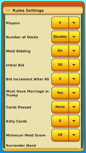 Pinochle screenshot 5
