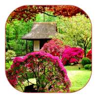 Garden Live Wallpaper