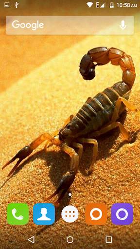 Scorpion HD Wallpaper screenshot 3