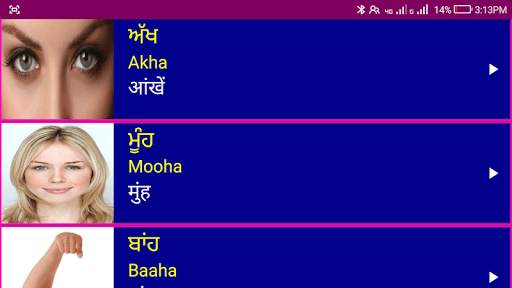 Learn Punjabi From Hindi 9 تصوير الشاشة