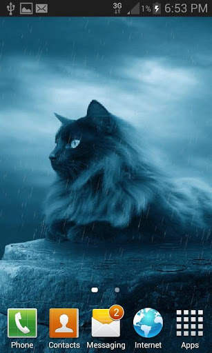Black Cat In Rain LWP screenshot 2