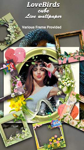 Love Bird cube live wallpaper screenshot 4