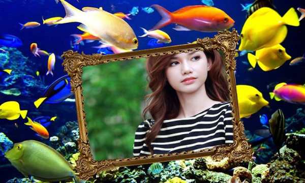 Aquarium Photo Frame screenshot 3