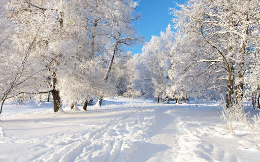 Winter Live Wallpaper (Wallpapers & Backgrounds) screenshot 7