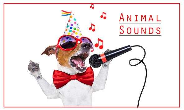 Animal Sounds screenshot 6