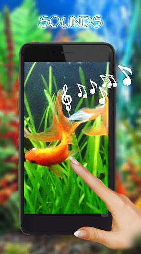 Aquarium Gold Fishes LWP 1 تصوير الشاشة