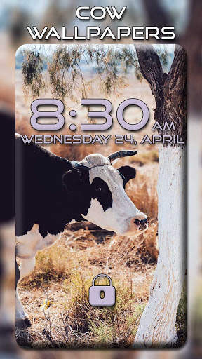 Cow Wallpapers screenshot 8