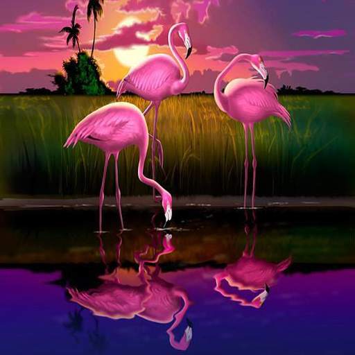 Flamingo Wallpaper 1.0