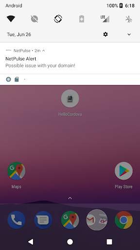 NetPulse screenshot 2