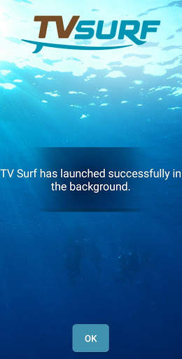 TV Surf screenshot 1