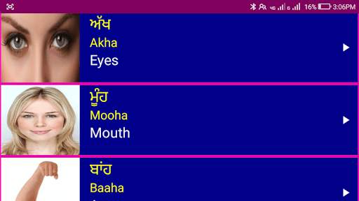 Learn Punjabi From English screenshot 12