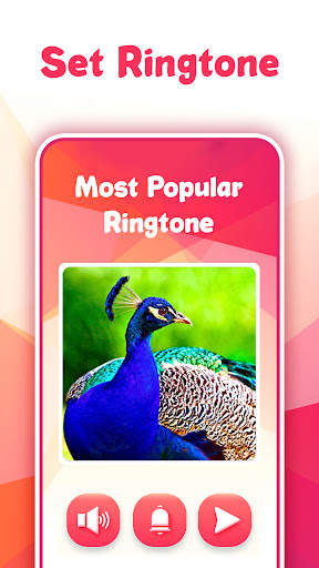 Animal Bird Sounds screenshot 2