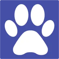 MOV Player For Android