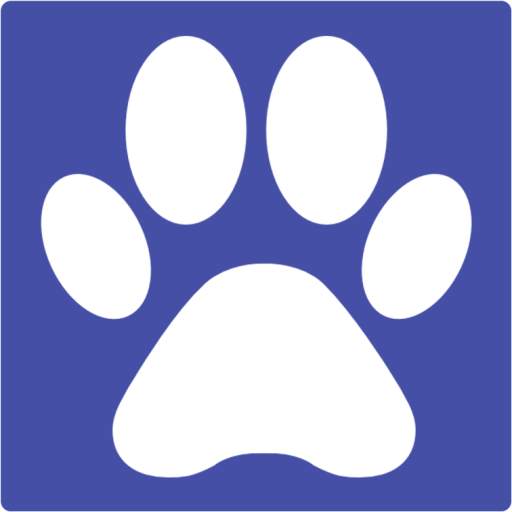 MOV Player For Android 5.1