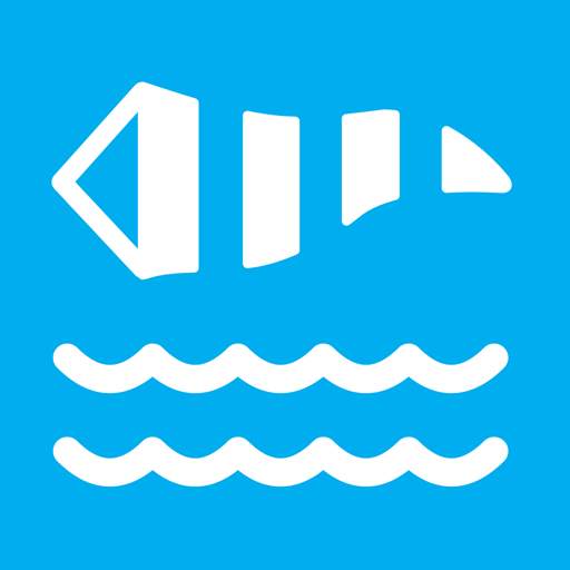 ViVa 2.4.6