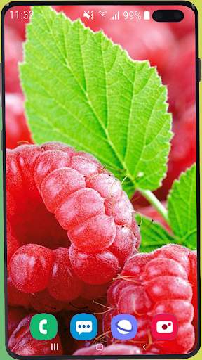 Fruit Wallpaper Best HD screenshot 4