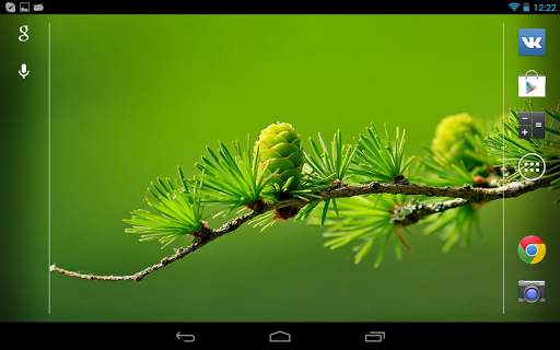 Nature Wallpaper screenshot 14
