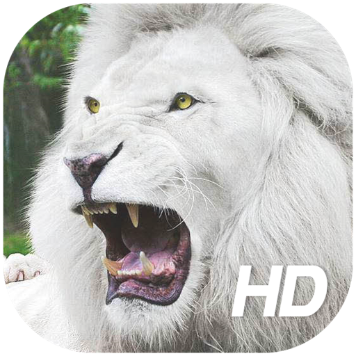 White Lion Wallpaper HD icon