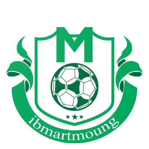 ibmart Moung 1.4