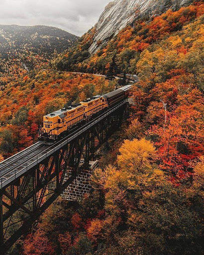 Free Jigsaw Puzzles For kids And Adults screenshot 5