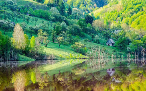 Spring Wallpaper HD : backgrounds & themes screenshot 12